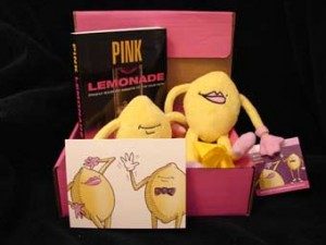 Gayle Zinda Lemonade Kit